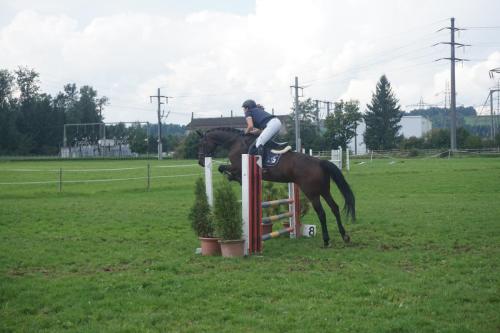 vereinsmeisterschaft-springen-2017 40362501562 o