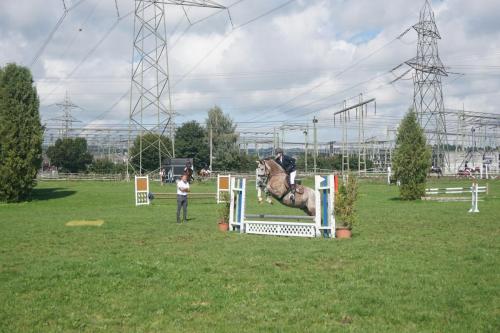 vereinsmeisterschaft-springen-2017 40406910681 o