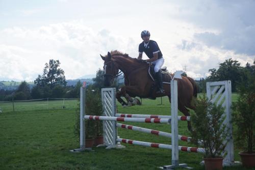 vereinsmeisterschaft-springen-2017 40407127681 o